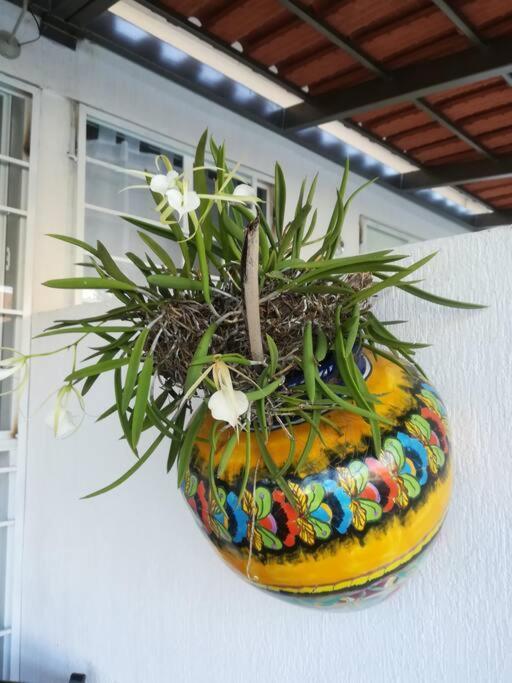 Privadas Turquesa, Nombre Del Alojamiento "Casa Niza Cancun" Экстерьер фото