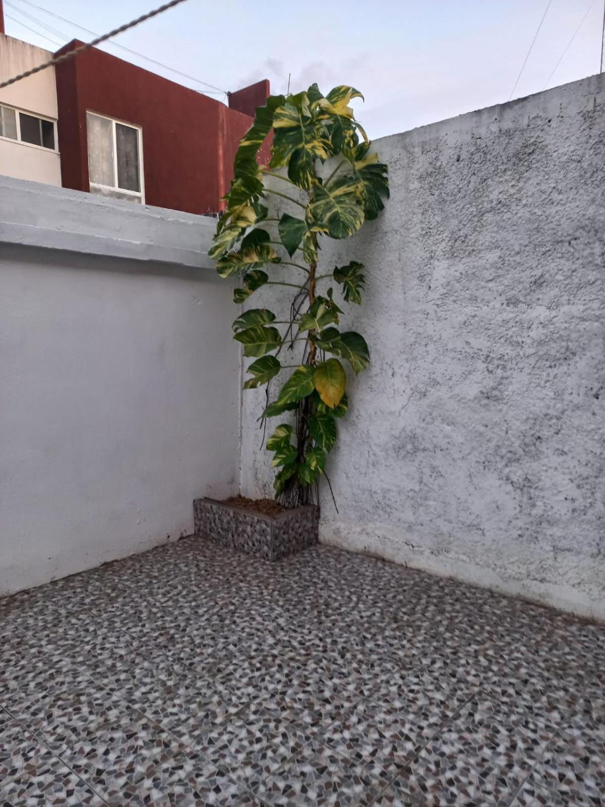 Privadas Turquesa, Nombre Del Alojamiento "Casa Niza Cancun" Экстерьер фото